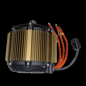 Storm Bee Motor Assembly