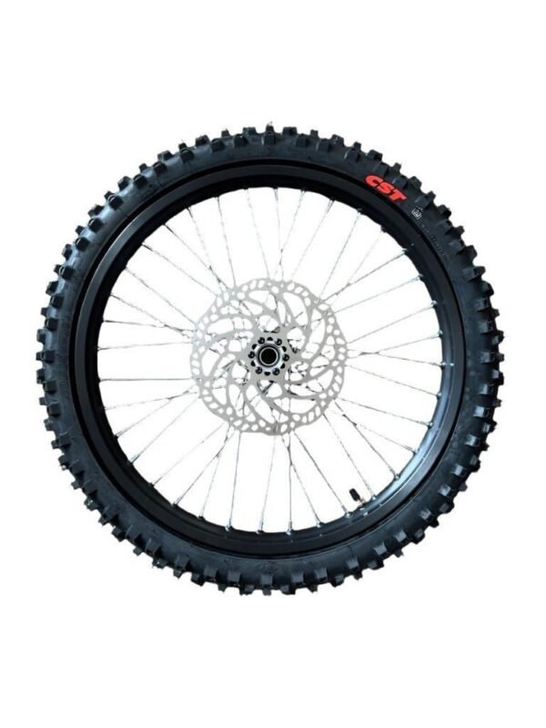 Light Bee 19" Front Wheel Assembly with Brake Disc, & Tire - Image 3